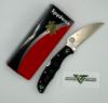 Spyderco Endura 4 C10FPWCBK - Back